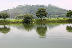 初夏鄉(xiāng)村農(nóng)家樂(lè)148.png
